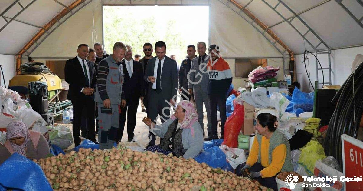 "Dinar’da ceviz sezonu verimli başladı: Üretici memnun" başlıklı haber için fotorealistik, profesyon