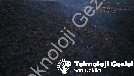 Aydın Bozdoğan’daki Orman Yangını Büyük Ölçüde Kontrol Altına Alındı