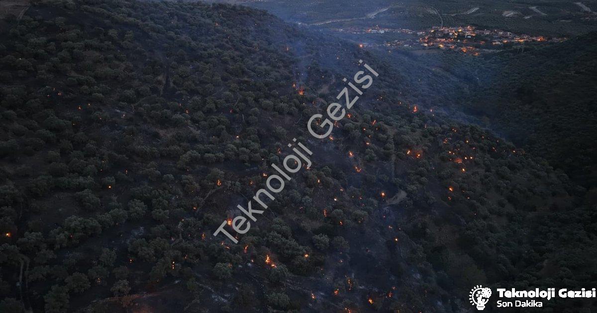 "Aydın Bozdoğan'daki Orman Yangını Büyük Ölçüde Kontrol Altına Alındı" başlıklı haber için fotoreali