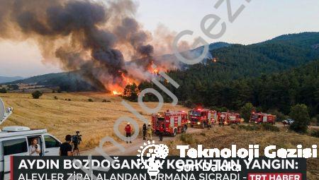 Aydın Bozdoğan’da Korkutan Yangın: Alevler Zirai Alandan Ormana Sıçradı