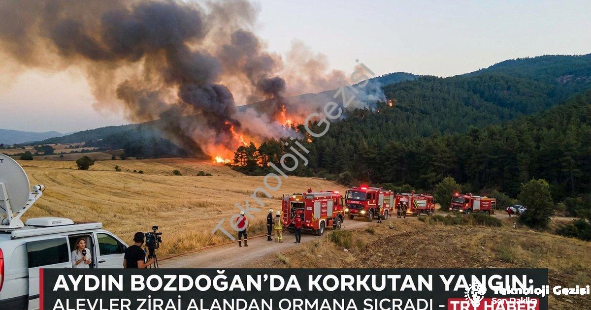 "Aydın Bozdoğan'da Korkutan Yangın: Alevler Zirai Alandan Ormana Sıçradı" başlıklı haber için fotore