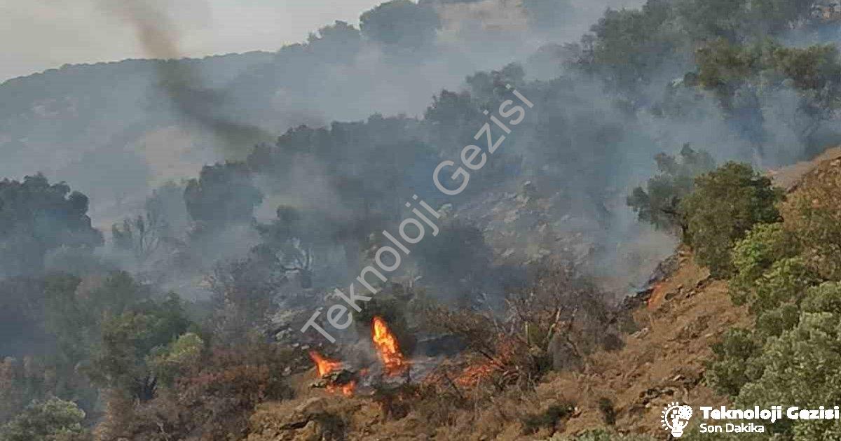 "Aydın Bozdoğan’da Orman Yangını: Rüzgarla Büyüyen Alevlere Müdahale" başlıklı haber için fotorealis