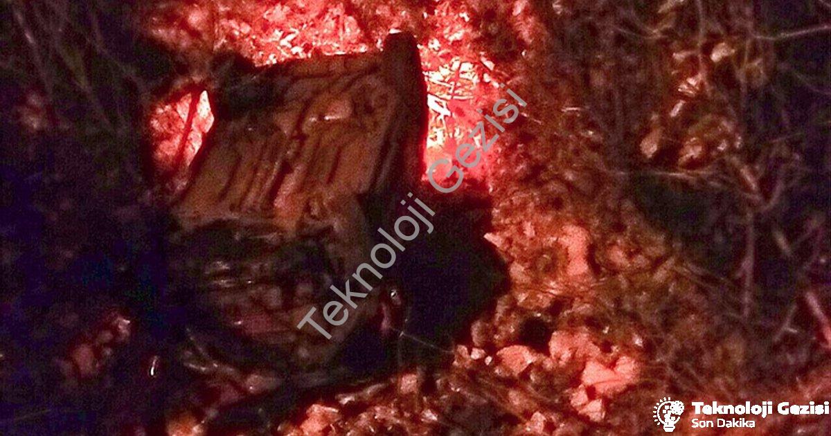 "Muğla'da Korku Dolu Anlar: Otomobil Dereye Uçtu, Sürücü Yaralandı" başlıklı haber için fotorealisti