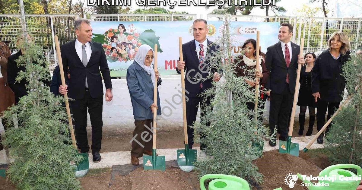 "Muğla'da 16 Bin 453 Öğretmen İçin Fidan Dikimi Gerçekleştirildi" başlıklı haber için fotorealistik,