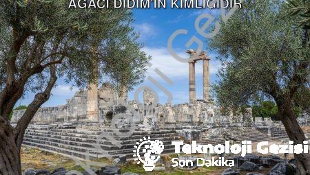 Başkan Gençay’dan Anlamlı Mesaj: Zeytin Ağacı Didim’in Kimliğidir