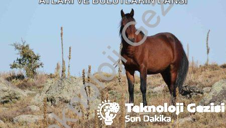 Kumalar Dağı’nda Görsel Şölen: Yılkı Atları ve Bulutların Dansı