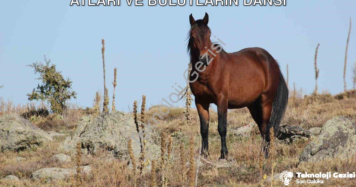 "Kumalar Dağı'nda Görsel Şölen: Yılkı Atları ve Bulutların Dansı" başlıklı haber için fotorealistik,