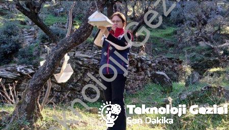 Söke Çiftçisine Kritik Uyarı: Akdeniz Meyve Sineği Popülasyonu Artıyor