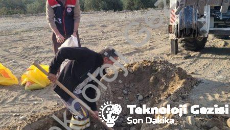 Buharkent’te Tarımsal İnovasyon: 2. Etap İlek Bahçesi İçin İlk Adım Atıldı