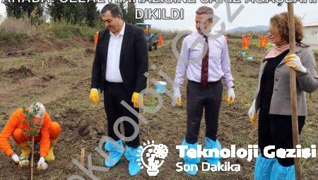 Dalaman’da Tarım ve Rehabilitasyon Bir Arada: Cezaevi Arazisine Sakız Ağaçları Dikildi