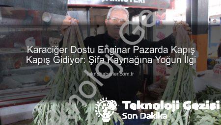 Karaciğer Dostu Enginar Pazarda Yok Satıyor: Şifa Kaynağına Yoğun İlgi