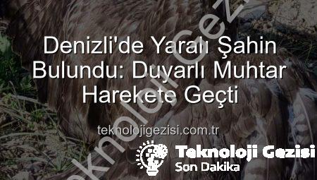 Denizli’de Yaralı Şahin Bulundu: Duyarlı Muhtar Harekete Geçti