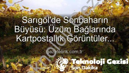 Sarıgöl’de Sonbaharın Büyüsü: Üzüm Bağlarında Kartpostallık Görüntüler Eşliğinde Budama Çalışmaları Başladı