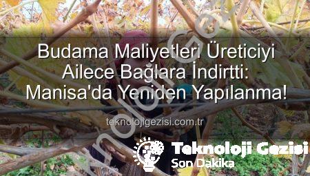 Budama Maliyetleri Üreticiyi Ailece Bağlara İndirtti: Manisa’da Yeniden Yapılanma!