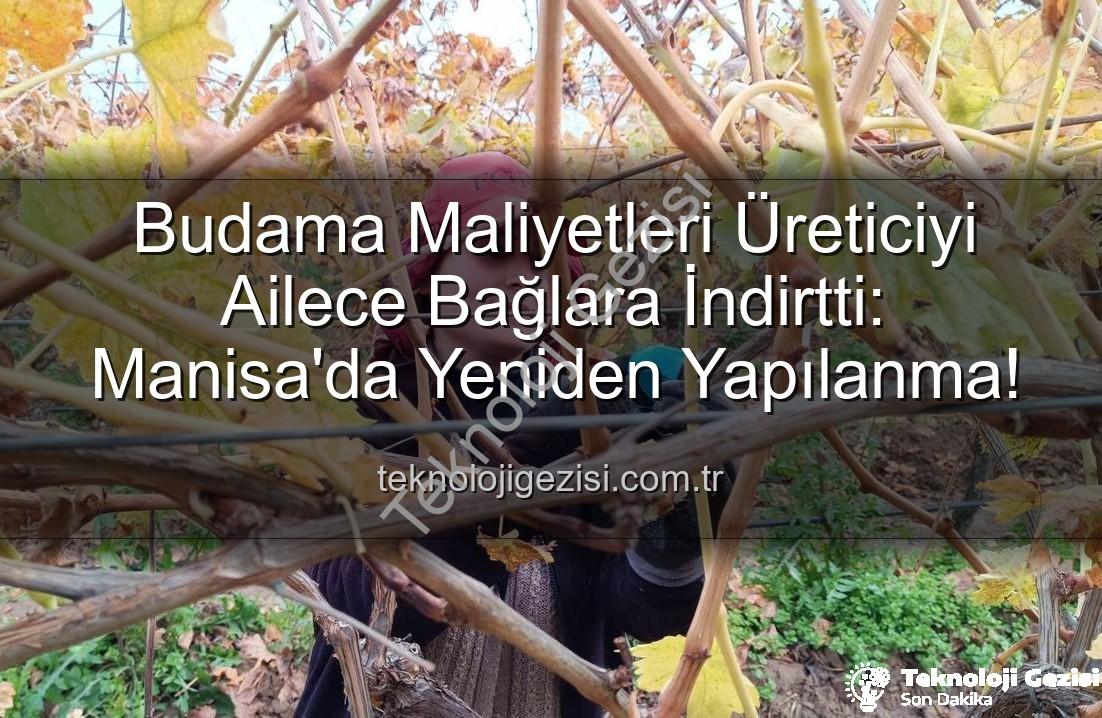 budama maliyeti - Budama Maliyetleri Üreticiyi Ailece Bağlara İndirtti: Manisa'da Yeniden Yapılanma!