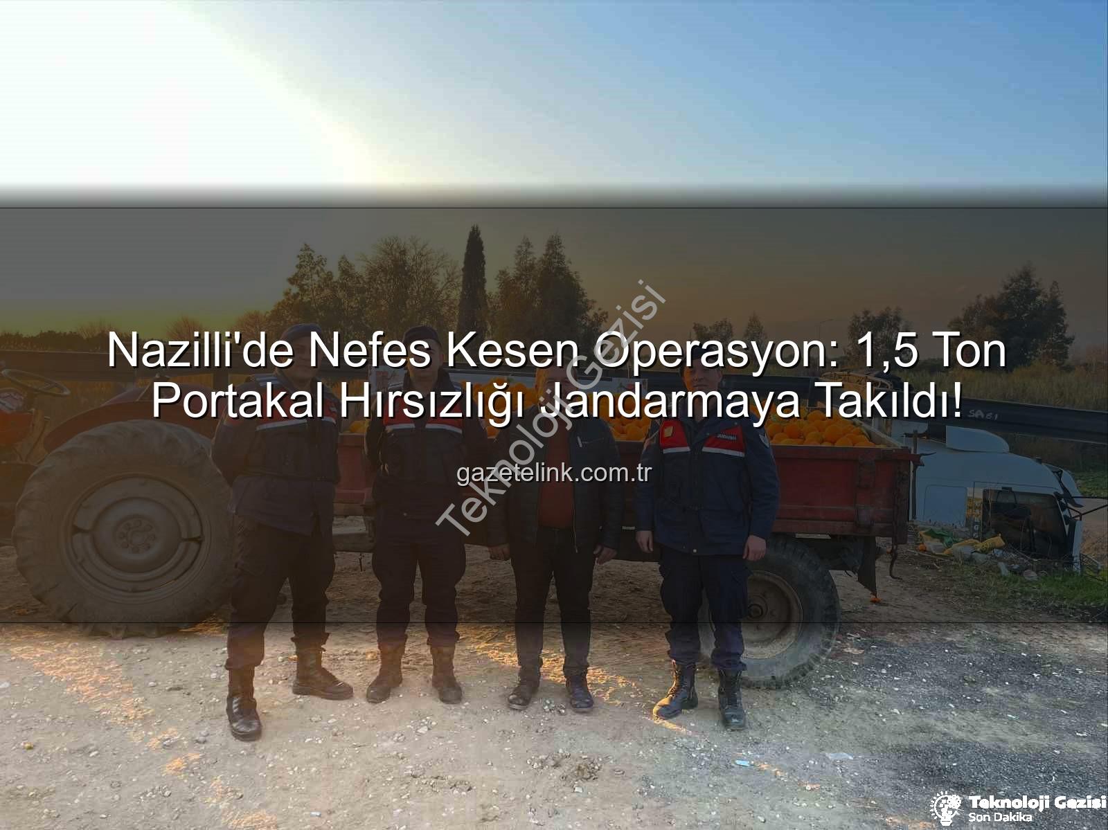 portakal hırsızlığı - Nazilli'de Dev Portakal Hırsızlığı Jandarmaya Takıldı: 1,5 Ton Ürün Sahibine Teslim Edildi