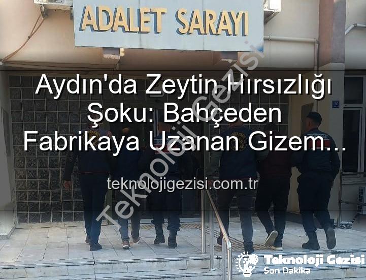 zeytin hırsızlığı - Aydın'da Zeytin Hırsızlığı Şoku: Bahçeden Fabrikaya Uzanan Gizem Çözüldü, 2 Şüpheli Yakalandı