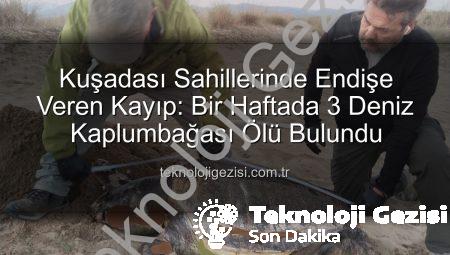 Kuşadası Sahillerinde Endişe Veren Kayıp: Bir Haftada 3 Deniz Kaplumbağası Ölü Bulundu