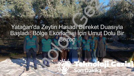 Yatağan’da Zeytin Hasadı Bereket Duasıyla Başladı: Bölge Ekonomisi İçin Umut Dolu Bir Sezon
