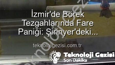 İzmir’de Börek Tezgahlarında Fare Paniği: Şirinyer’deki İşletmeye Mühür Vuruldu