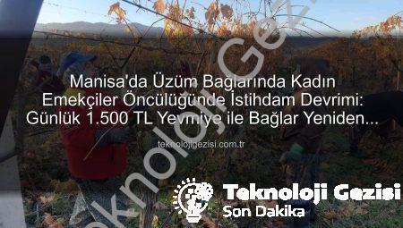 Manisa’da Üzüm Bağlarında Kadın Emekçiler Öncülüğünde İstihdam Devrimi: Günlük 1.500 TL Yevmiye ile Bağlar Yeniden Hayat Buluyor