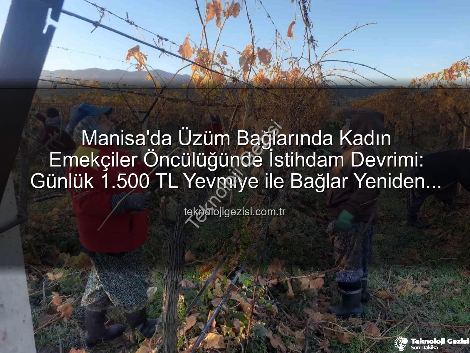 kadın istihdamı - Manisa'da Üzüm Bağlarında Kadın Emekçiler Öncülüğünde İstihdam Devrimi: Günlük 1.500 TL Yevmiye ile Bağlar Yeniden Hayat Buluyor