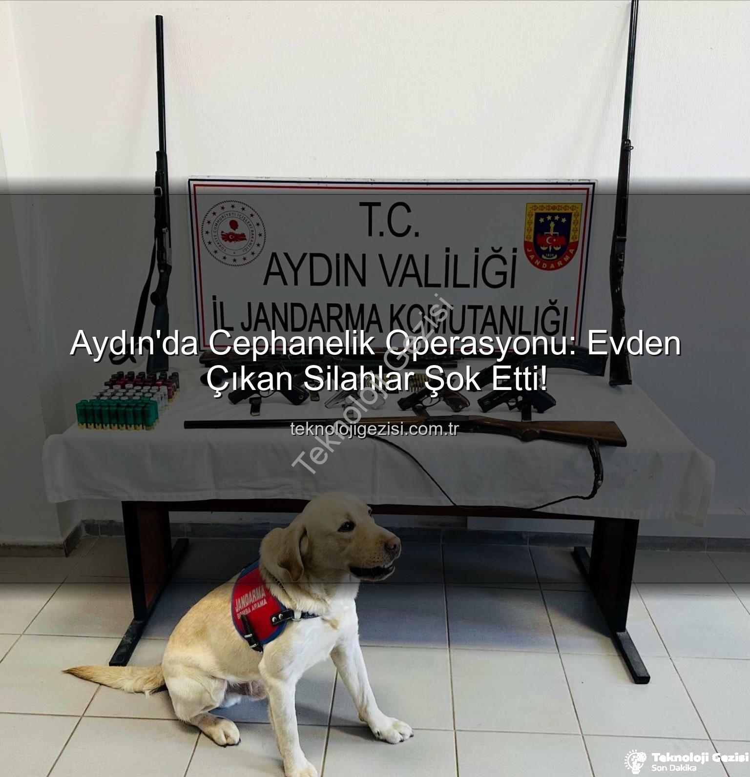 ruhsatsız silah - Aydın'da Cephanelik Operasyonu: Evden Çıkan Silahlar Şok Etti!