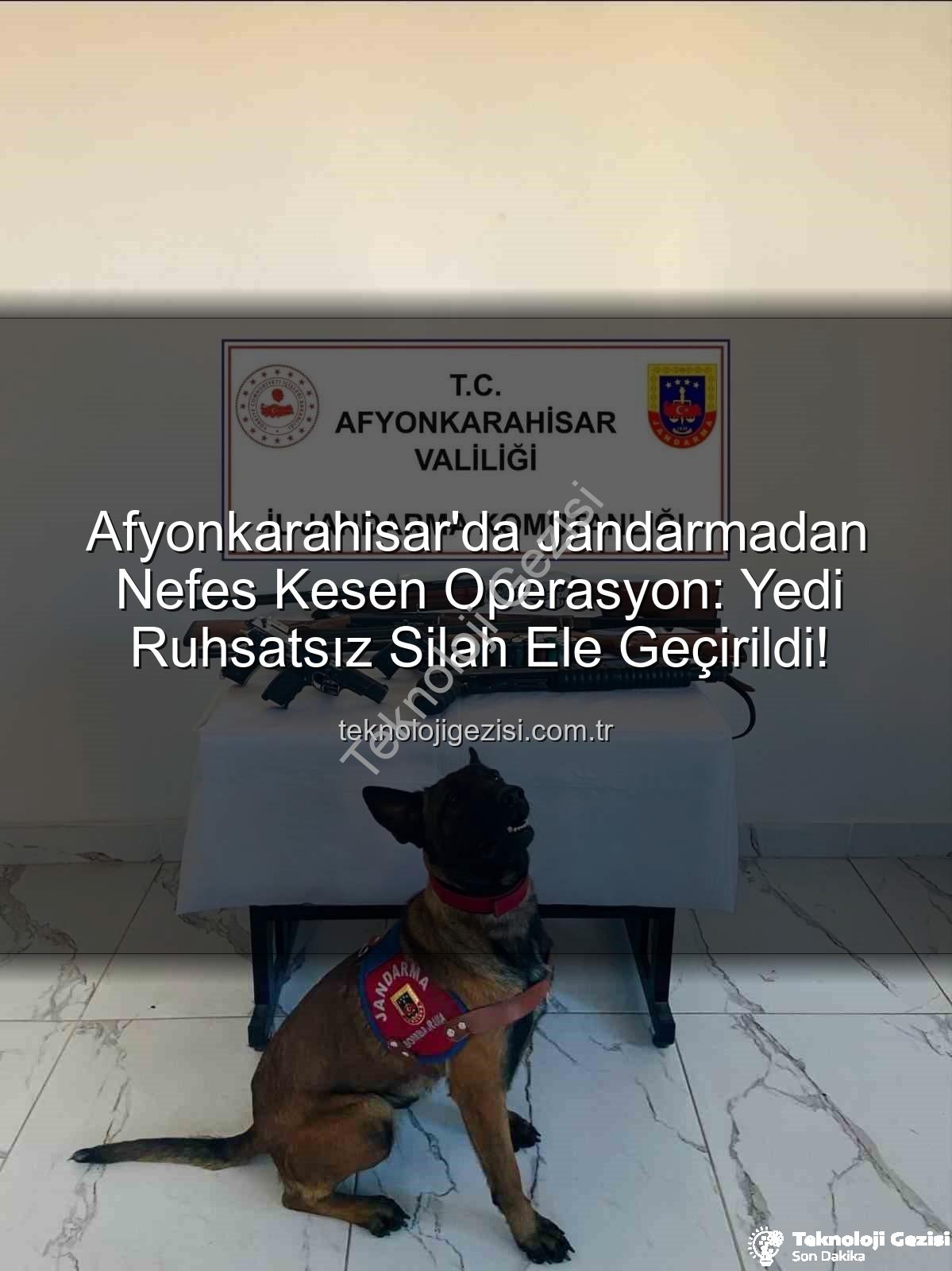ruhsatsız silah - Afyonkarahisar'da Jandarmadan Nefes Kesen Operasyon: Yedi Ruhsatsız Silah Ele Geçirildi!