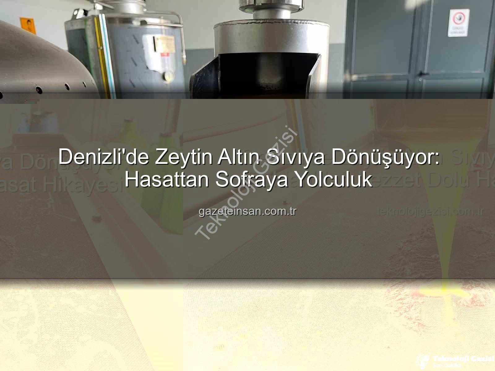 Denizli zeytinyağı - Denizli'de Zeytin Altın Sıvıya Dönüşüyor: Buldan'dan Lezzet Dolu Hasat Hikayesi