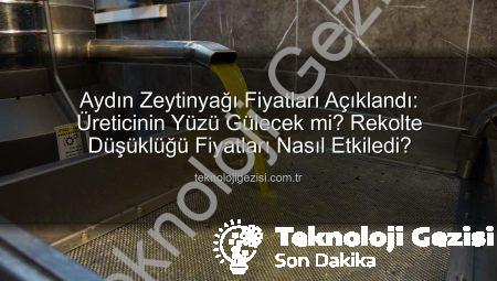 Aydın Zeytinyağı Fiyatları Açıklandı: Üreticinin Yüzü Gülecek mi? Rekolte Düşüklüğü Fiyatları Nasıl Etkiledi?