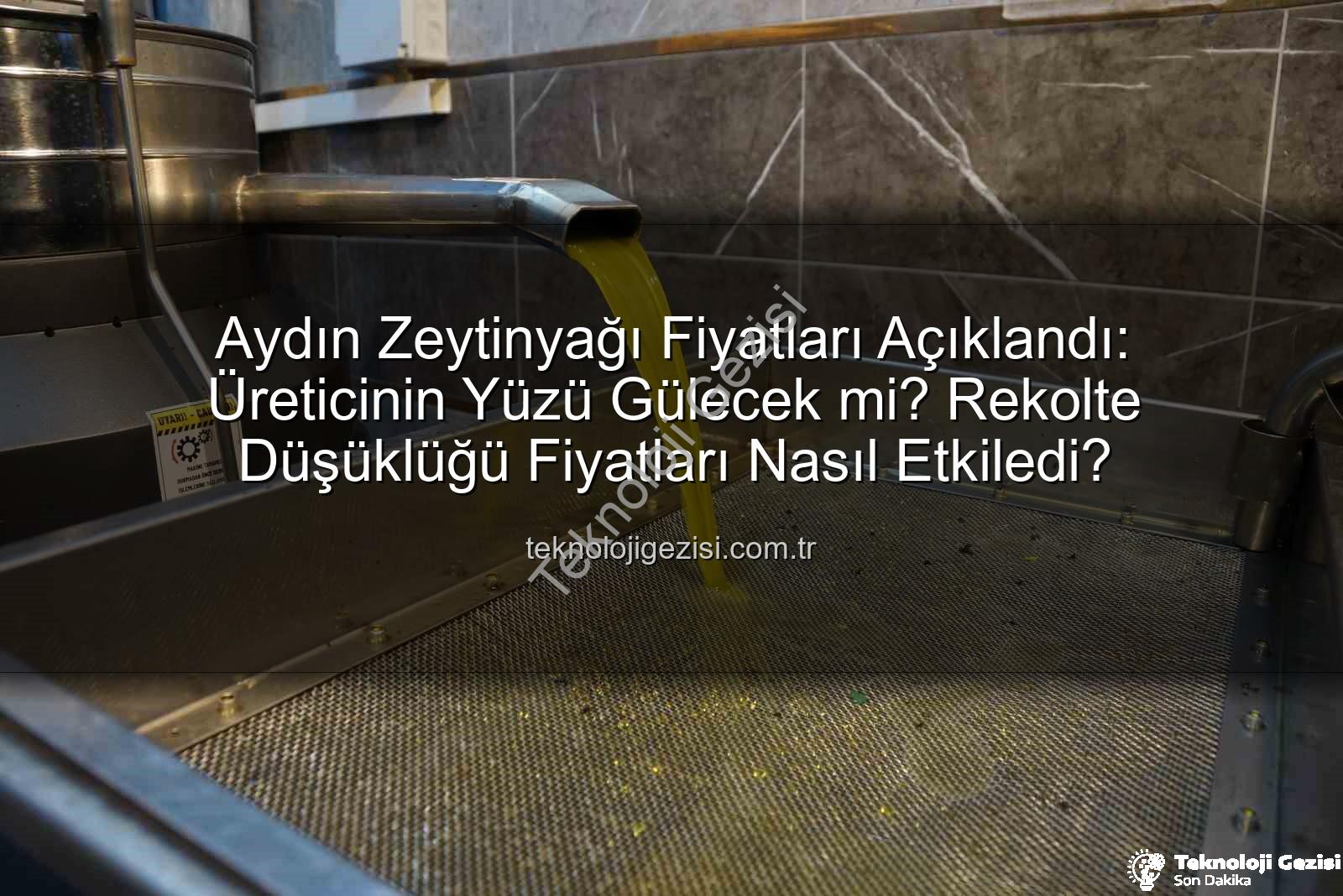 zeytinyağı fiyatları - Aydın Zeytinyağı Fiyatları Açıklandı: Üreticinin Yüzü Gülecek mi? Rekolte Düşüklüğü Fiyatları Nasıl Etkiledi?