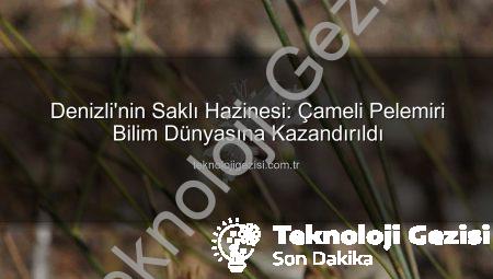 Denizli’nin Saklı Hazinesi: Çameli Pelemiri Bilim Dünyasına Kazandırıldı
