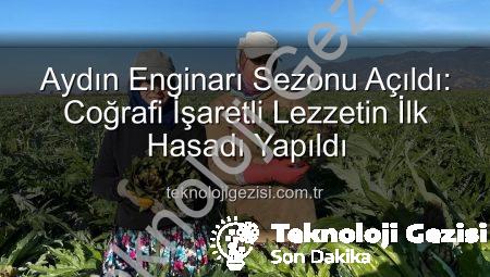 Aydın Enginarı Sezonu Açıldı: Coğrafi İşaretli Lezzetin İlk Hasadı Yapıldı
