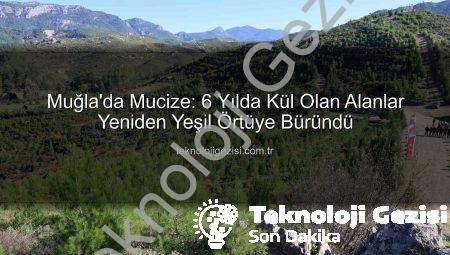 Muğla’da Mucize: 6 Yılda Kül Olan Alanlar Yeniden Yeşil Örtüye Büründü