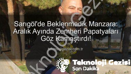 Sarıgöl’de Beklenmedik Manzara: Aralık Ayında Zemheri Papatyaları Göz Kamaştırdı!