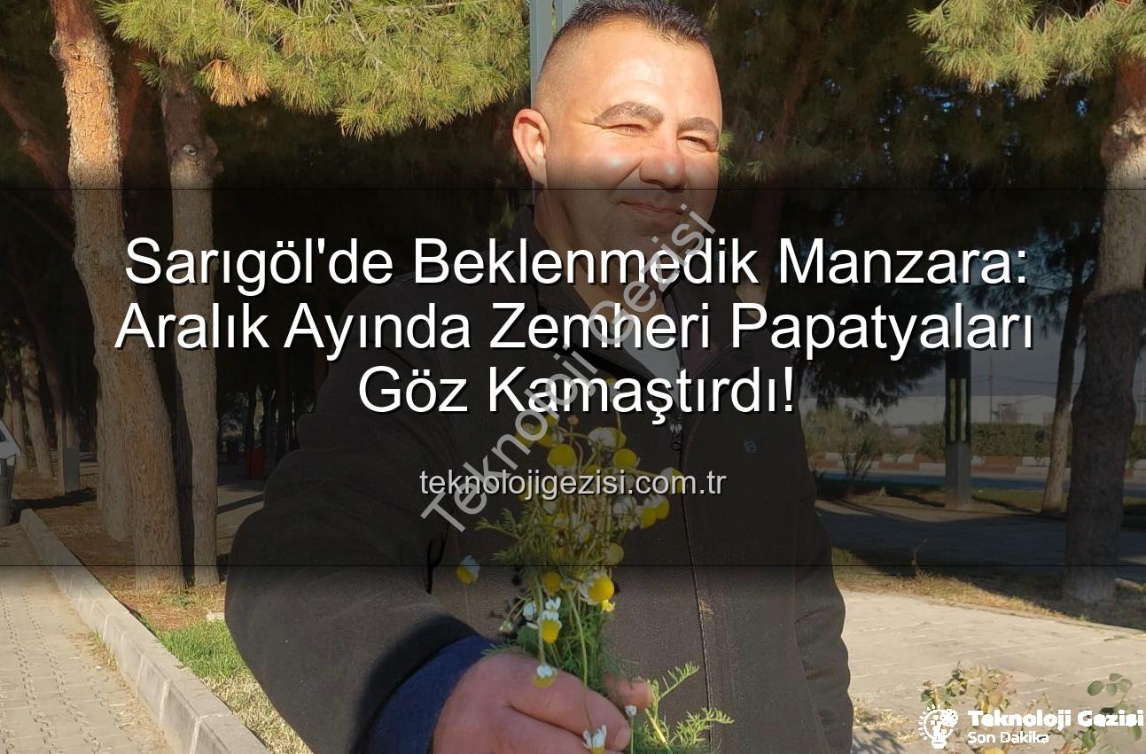 Aralık Ayında Papatya - Sarıgöl'de Beklenmedik Manzara: Aralık Ayında Zemheri Papatyaları Göz Kamaştırdı!