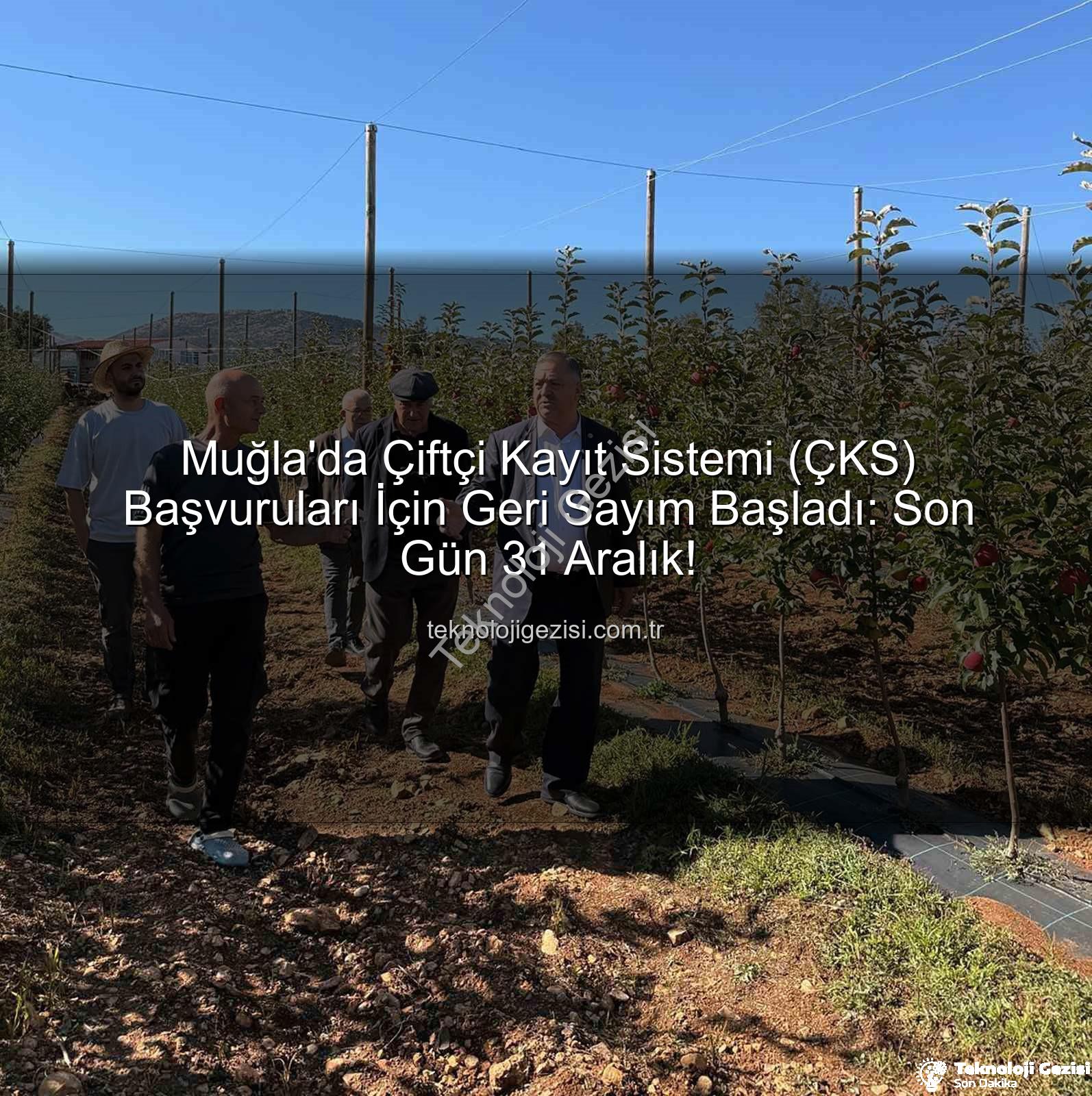 ÇKS başvuruları - Muğla'da Çiftçi Kayıt Sistemi (ÇKS) Başvuruları İçin Geri Sayım Başladı: Son Gün 31 Aralık!